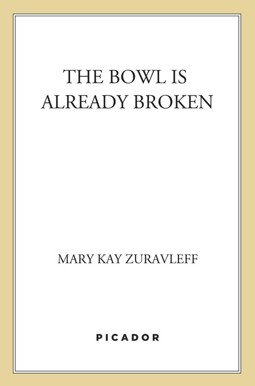 descargar libro The Bowl Is Already Broken